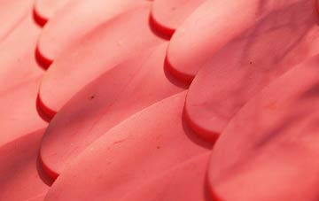 Border plastic roof costs