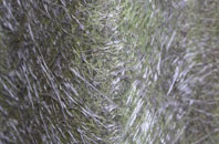 Border fibreglass roof work