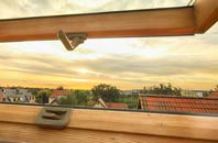 rated Border roof window companies